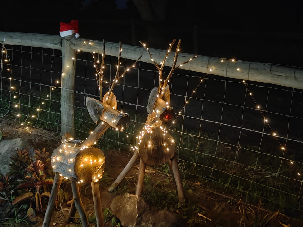 Handmade reindeer decorations with fairy lights on the farm fence